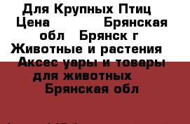 Для Крупных Птиц › Цена ­ 1 000 - Брянская обл., Брянск г. Животные и растения » Аксесcуары и товары для животных   . Брянская обл.